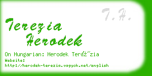 terezia herodek business card